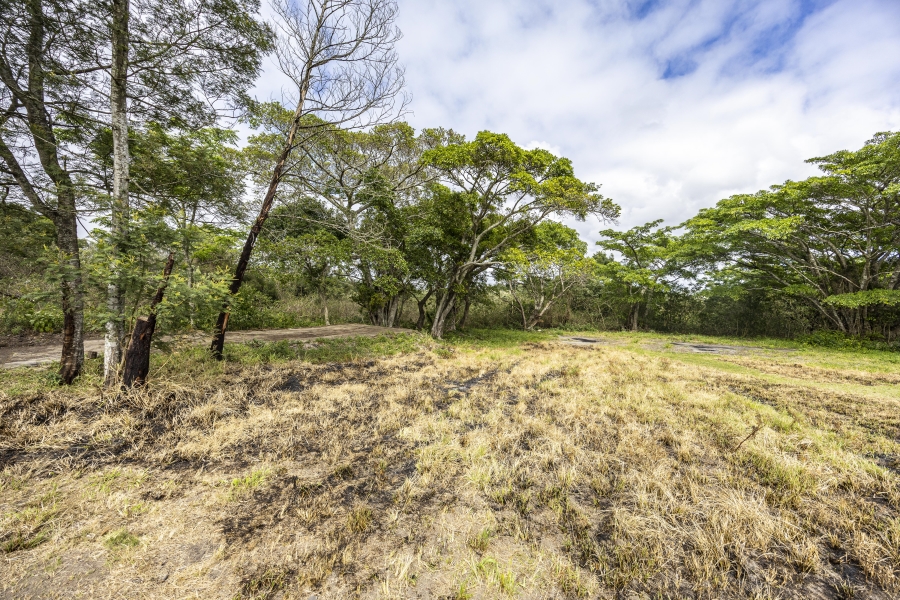 3 Bedroom Property for Sale in Summerpride Eastern Cape